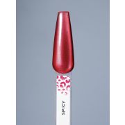 Гель-лак MOODNAIL Silk Cat Spicy 10г