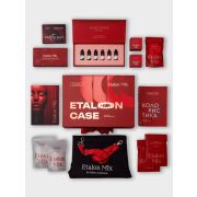 Базовый кейс Etalon Mix